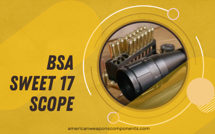 bsa-sweet-17-scope-review-full-optic-review-american-weapons