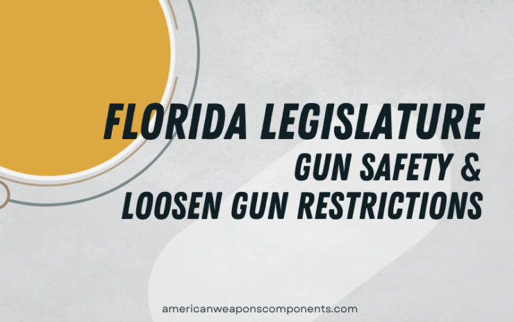 Bills Designed To Promote Gun Safety And Loosen Gun Restrictions Are ...